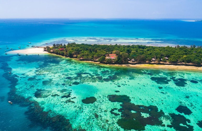 Que faire à Zanzibar ? Les incontournables de l’île aux épices