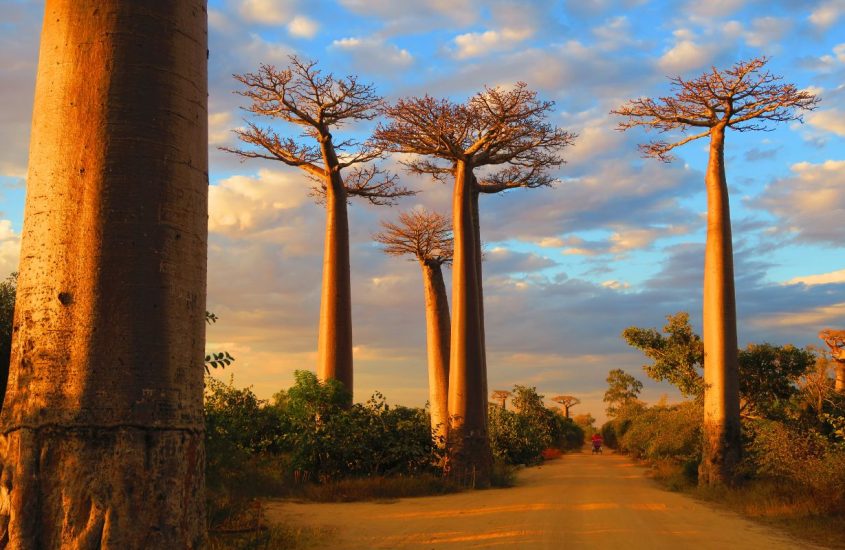 Les 10 parcs nationaux incontournables de Madagascar