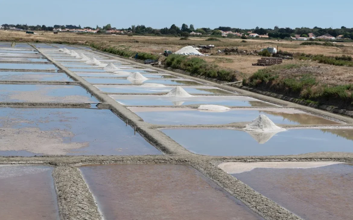 marais salants 